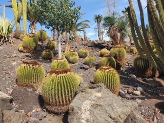 2020-10-GC-Cactualdea-PM-NN-22.jpg